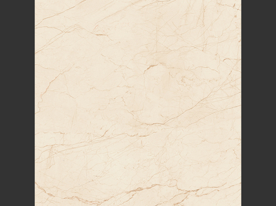 駱駝磁磚、駱駝磁磚品牌