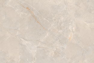 特地 負離子瓷磚,專注健康裝修,環保瓷磚 特地 負離子瓷磚